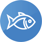 fish, gilthead bream, sea bass, trout