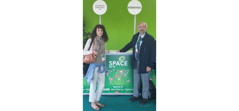 DM2 en Space 2019